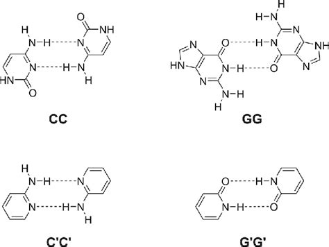 Scheme1.Chemical structures of the mismatched DNA base pairs CC, GG ...