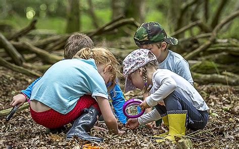 Reading, writing and mud: the growth of Forest Schools