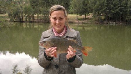 wollondilly river - Fishing Chat - DECKEE Community