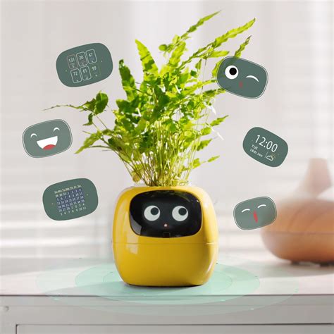 Amazon.com: Yoolax Smart Plant Pot for Indoor Plants, Smart Garden for ...