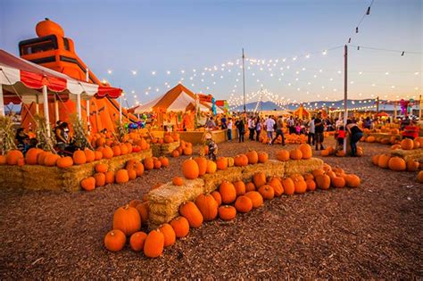 Orange County Fairgrounds Pumpkin Patch Guide October 2022 – South OC Beaches