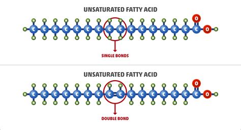 What is Unsaturated Fat? A Comprehensive Guide | LaptrinhX / News