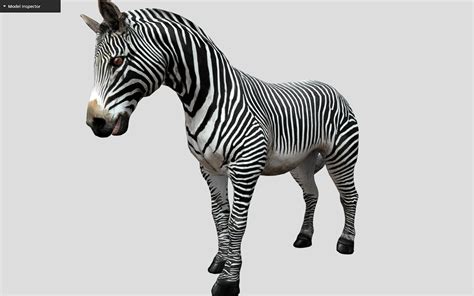 ArtStation - ZEBRA - 3D MODEL | Resources