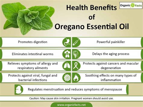 The health benefits of Oregano Essential Oil can be attributed to its ...