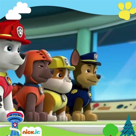 Nick Jr. - Paw Patrol