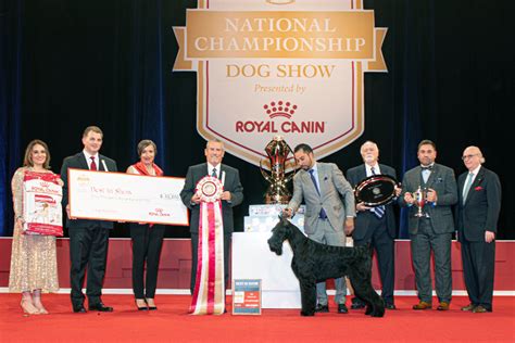 AKC National Championship presented by Royal Canin – American Kennel Club