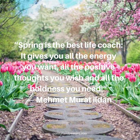 20 INSPIRATIONAL QUOTES FOR SPRING ~ Comfort & Peasant