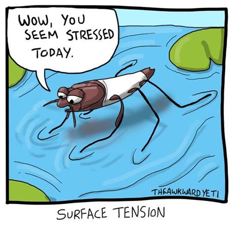 Surface Tension Comic | The Awkward Yeti