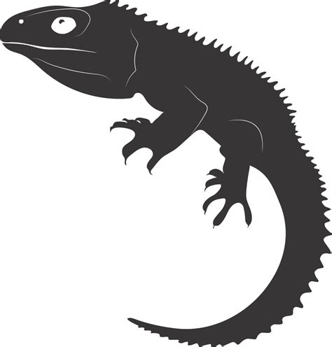 Download Tuatara, Reptile, Galapagos. Royalty-Free Stock Illustration ...