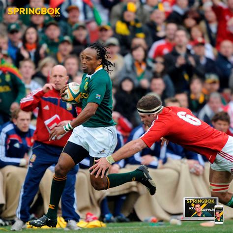 Springboks - What you need to know about the British