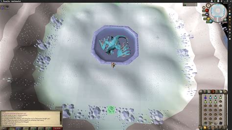 I decided to try Vorkath using only Fossil Island birdhouse chickens : r/2007scape