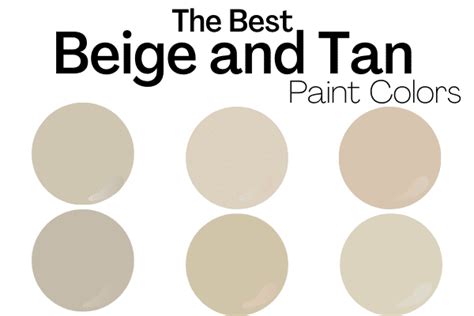 Sandy Beige Paint Color Paint Color Ideas - vrogue.co