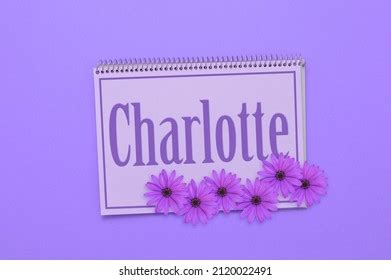 443 Charlotte name Images, Stock Photos & Vectors | Shutterstock