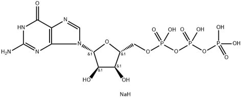 Guanosine 5'-triphosphate trisodium salt | 36051-31-7