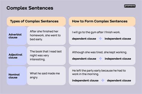 Complex Sentence | Promova Grammar