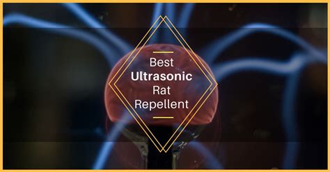 Best Electronic Ultrasonic Rat Repellent 2018 - Pest Survival Guide