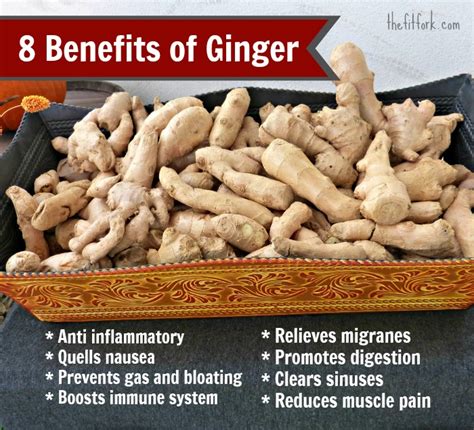 Benefits of Ginger & How To Use Ginger in Beverages + Smoothie Recipe | thefitfork.com