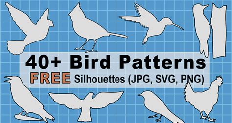 Bird Cut Out Template Collection