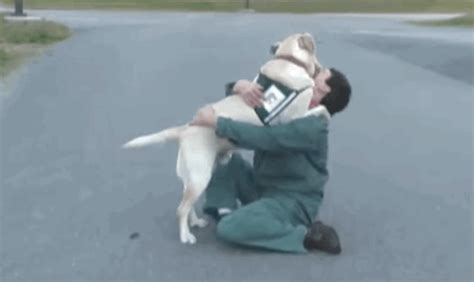 Infinitely Loyal Facts About Service Dogs (15 pics + 8 gifs) - Izismile.com