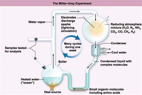 December 21 – Miller-Urey Experiment Fatal Flaws | Creation 101