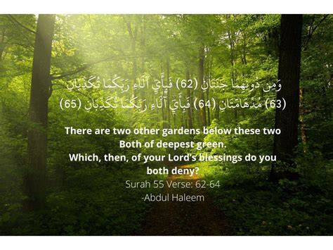 The beauty of the green color... : r/islam