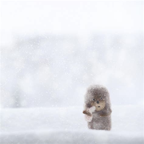 Premium Photo | Hedgehog in fog little toy hedgehog in snow on snowy ...