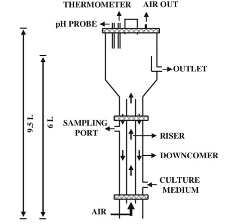 Schematic representation of the airlift tower loop bioreactor ...