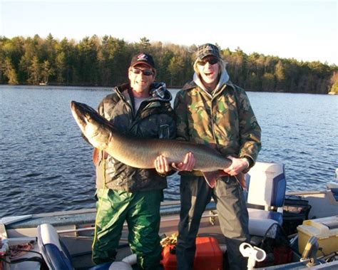 Muskie Fishing on the French River