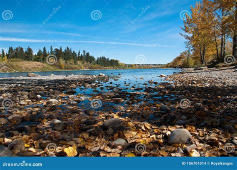 Fall Colors by the River stock photo. Image of landscapes - 106701014