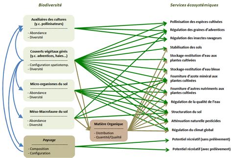 Les services écosystémiques | Planet-Vie