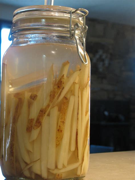 Fermentation Friday: Why I Won’t Ferment Without A Separate Airlock Part I | Fermented foods ...