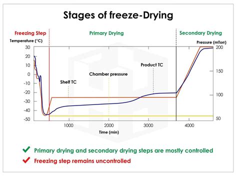 Getting to know Freeze Dry - Harn Engineering Solutions