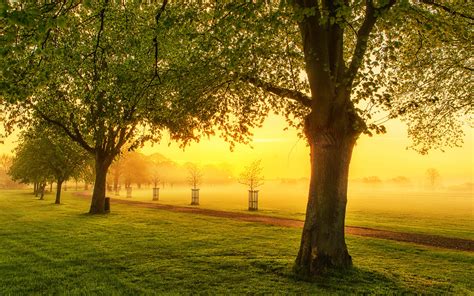 Beautiful Morning Fog wallpaper | 1920x1200 | #29370