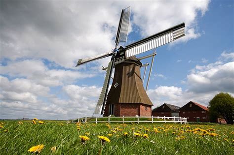 National Mill Day in the Netherlands | Heavenly Holland