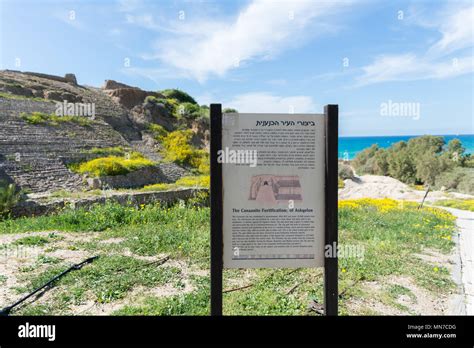 Visiting Ashkelon National Park, Israel Stock Photo - Alamy