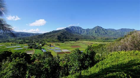 Taro Field, Hanalei Valley, Lookout Photograph by Douglas Peebles | Pixels