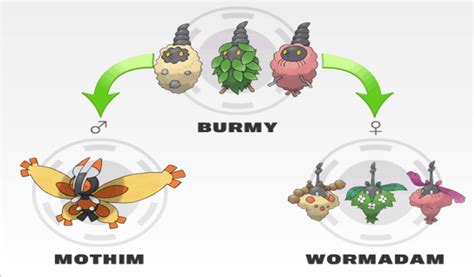 Drawing Pokemon: 412 Burmy, 413 Wormadam, 414 Mothim, 58% OFF