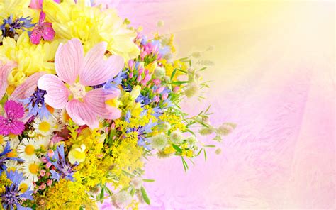 Download Pastel Artistic Flower HD Wallpaper