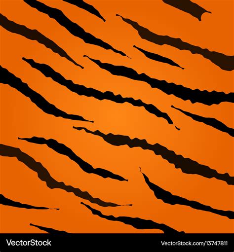 Tiger skin pattern Royalty Free Vector Image - VectorStock