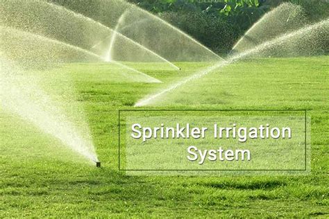 Sprinkler Irrigation System | Sprinkler Manufacturer | Tirupati Sprinklers