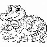 Crocodile Coloring Pages 6  Gem sketch template
