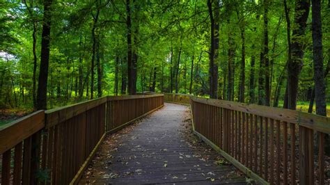 Natchez Trace Trail: Your Ultimate Guide To The NTT - Blaze Your Path