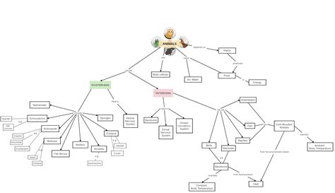 20 Creative Concept Map Examples For Students Boardmi - vrogue.co