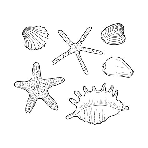 Handdrawn Seashell Vector Illustrations For Designs Mussel Scallop Tibia Vector, Mussel, Scallop ...