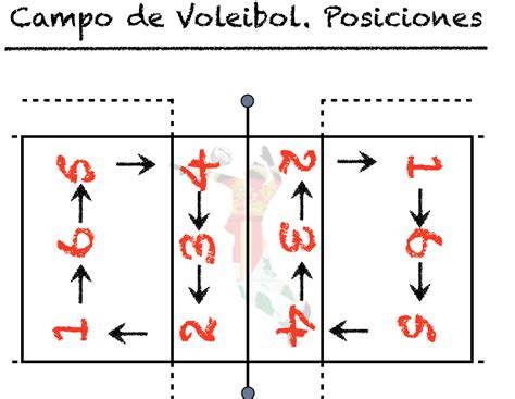 Total 90+ imagen cuales son las reglas de la cancha de voleibol - Viaterra.mx