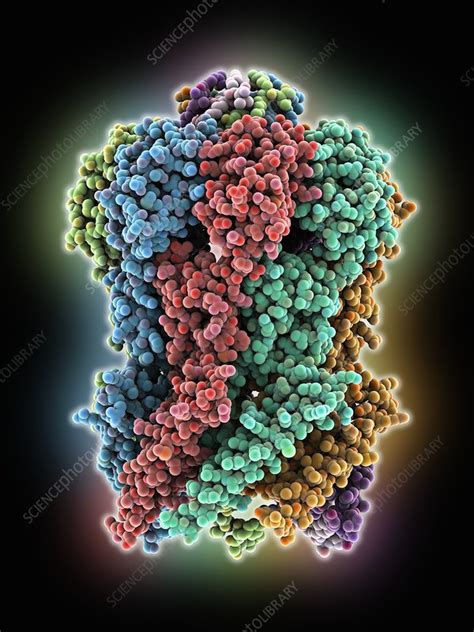 MscS ion channel protein structure - Stock Image - C025/2055 - Science Photo Library