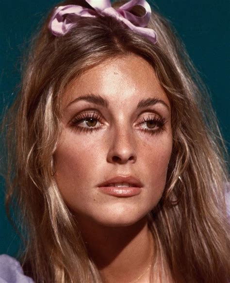 Sharon Tate Sharon Tate Makeup Sharon Tate Beauty | Hot Sex Picture