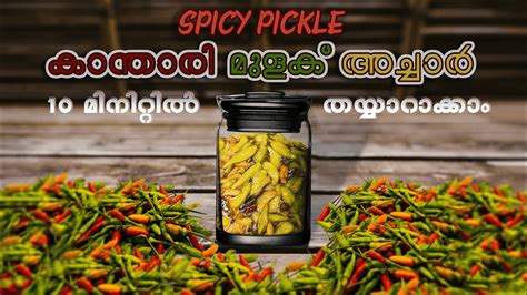 Kanthari Mulaku Pickle || കാന്താരി മുളക് അച്ചാർ എളുപ്പത്തിൽ || Chilli Pickle - YouTube