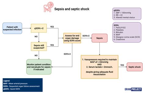 Flowchart Guide To Diagnosing Sepsis And Septic Shock Grepmed | The ...