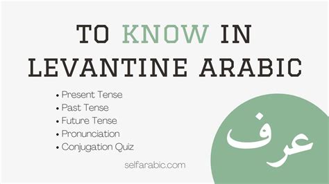 Levantine Arabic Verbs Archives - Selfarabic